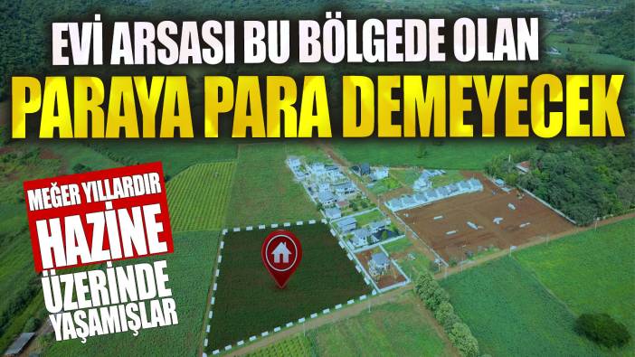 Evi arsası bu bölgede olan paraya para demeyecek! Meğer yıllardır hazine üzerinde yaşamışlar