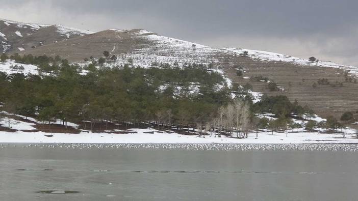 Sıhke Gölü kısmen buz tuttu kuşlar aç kaldı