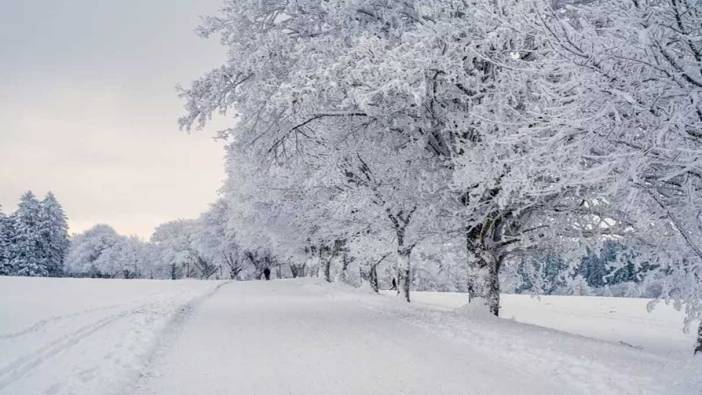 Tayvan’da soğuk hava dalgası: 11 ölü