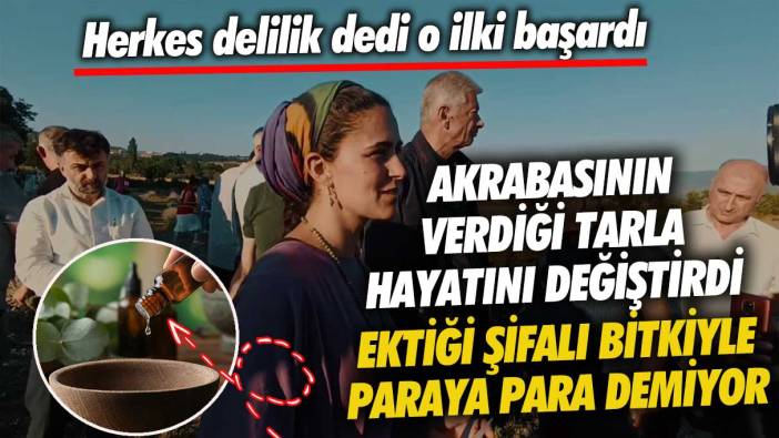 Ektiği şifalı bitkiyle paraya para demiyor! Akrabasının verdiği tarla hayatını değiştirdi herkes delilik dedi o ilki başardı