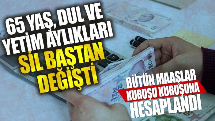 65 yaş, dul ve yetim aylıkları sil baştan değişti! Bütün maaşlar kuruşu kuruşuna hesaplandı