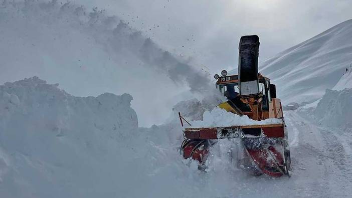 Meteoroloji uyardı! Doğu Anadolu'da kuvvetli kar yağışı bekleniyor