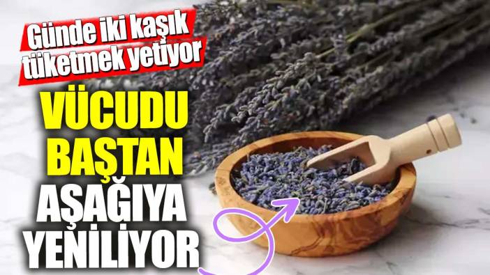 Günde iki kaşık tüketmek yetiyor!  Vücudu baştan aşağıya yeniliyor