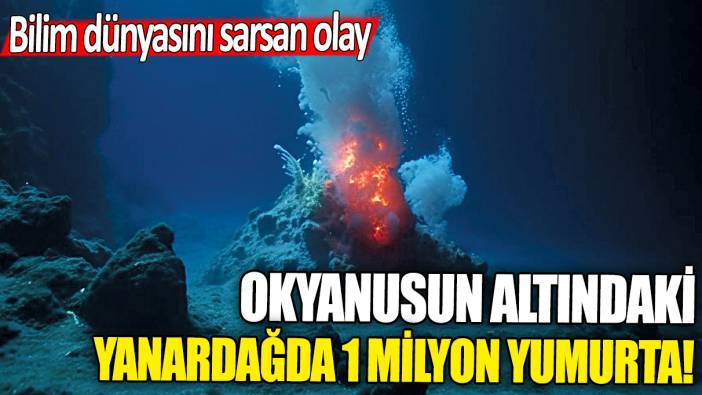 Bilim dünyasını sarsan olay: Okyanusun altındaki yanardağda 1 milyon yumurta bulundu!