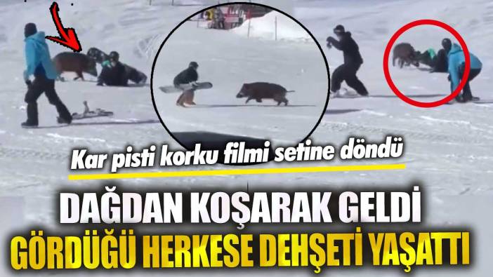 Dağdan koşarak geldi gördüğü herkese dehşeti yaşattı! Kar pisti korku filmi setine döndü