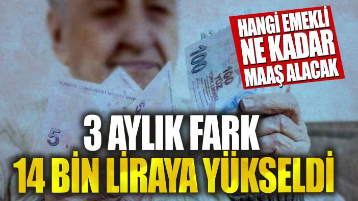 SSK, Bağ-Kur ve Memur emeklisi... Hangi emekli ne kadar maaş alacak? 3 aylık fark 14 bin liraya yükseldi