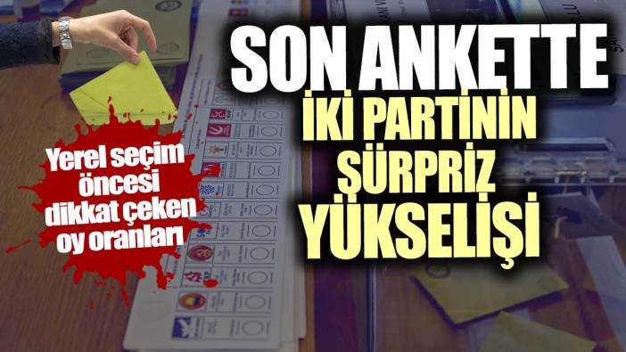 Son ankette iki partinin sürpriz yükselişi: Yerel seçim öncesi dikkat çeken oy oranları