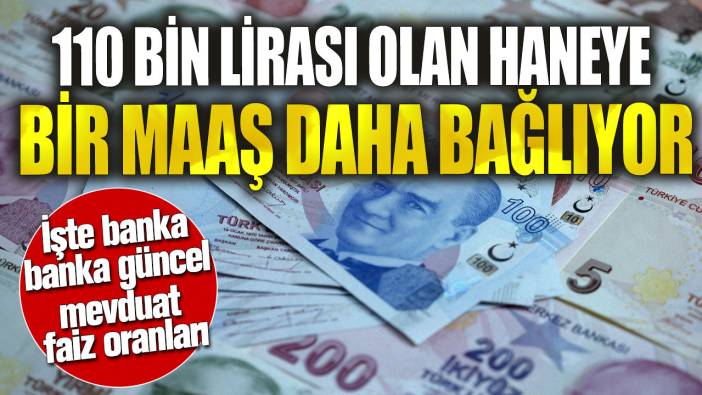 110 bin lirası olan haneye bir maaş daha bağlıyor! İşte banka banka güncel mevduat faiz oranları