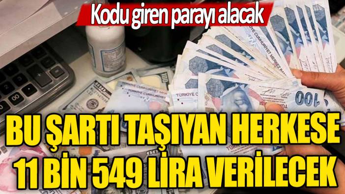 Milyonlarca kişiye 11 bin 549 lira verilecek: Kodu giren parayı alacak