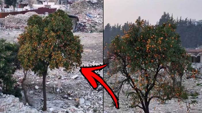 Hatay’da yürek yakan olay! Enkaz içinde hayat buldu