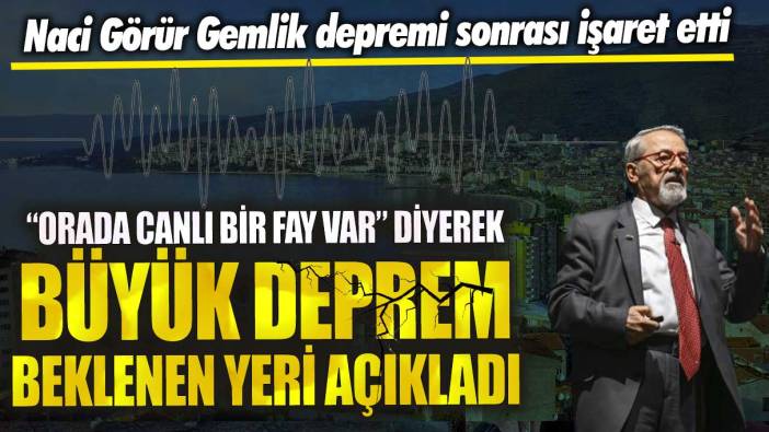 Naci Görür Gemlik depremi sonrası işaret etti!  Orada canlı bir fay var diyerek büyük deprem beklenen yeri açıkladı