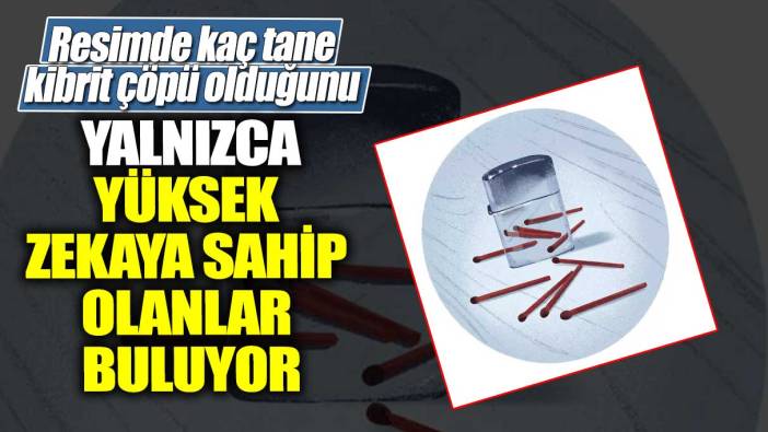 Resimde kaç tane kibrit çöpü olduğunu yalnızca yüksek zekaya sahip olanlar buluyor