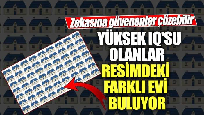 Zekasına güvenenler çözebilir! Yüksek IQ'su olanlar resimdeki farklı evi buluyor