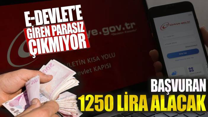 E-Devlet’e giren parasız çıkmıyor! Başvuran 1250 lira alacak