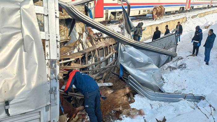 Muş’ta tren hayvan yüklü TIR’a çarptı! Ölü ve yaralılar var