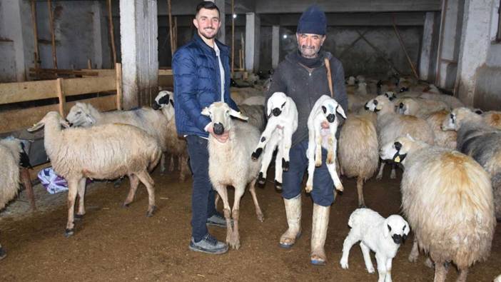 Depremzede besicilere üretime devam ediyor!