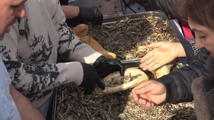 Yalova’da festivalde 3 ton hamsi ikram edildi