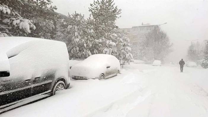 Erzurum ile Ardahan'da kar yağışı!