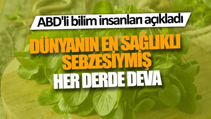 ABD'li bilim insanları açıkladı: Dünyanın en sağlıklı sebzesi: Her derde deva