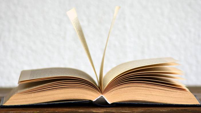 Oksimoron ne demek? Oksimoron ne anlama gelmektedir?