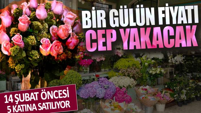 14 Şubat öncesi 5 katına satılıyor: Bir gülün fiyatı cep yakacak!