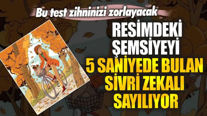 Bu test zihninizi zorlayacak! Resimdeki şemsiyeyi 5 saniyede bulan sivri zekalı sayılıyor