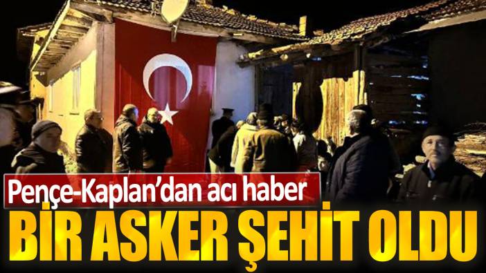 Son dakika...Pençe Kaplan'dan acı haber! Bir asker şehit oldu