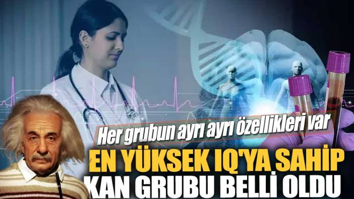 En yüksek IQ'ya sahip kan grubu belli oldu! Her grubun ayrı ayrı özellikleri var