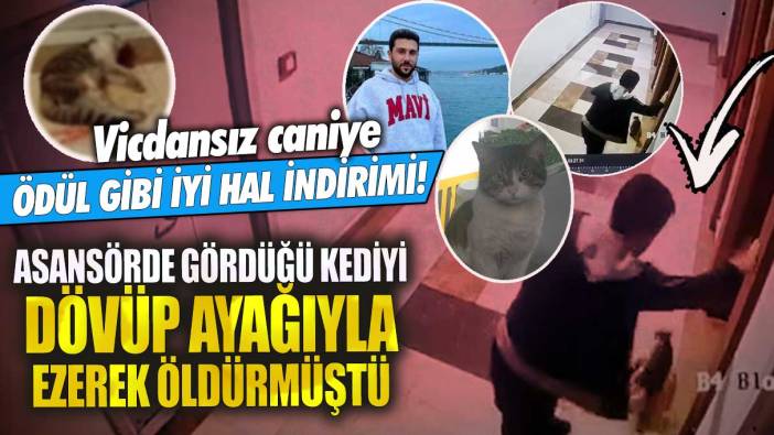 Küçükçekmece’de asansörde gördüğü kediyi dakikalarca dövüp ayağıyla ezerek öldürmüştü! Vicdansız caniye ödül gibi iyi hal indirimi!