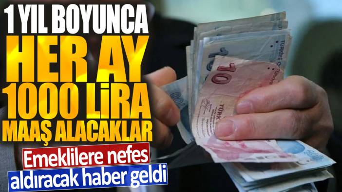 Emeklilere nefes aldıracak haber geldi: 1 yıl boyunca her ay 1000 lira maaşa alacaklar