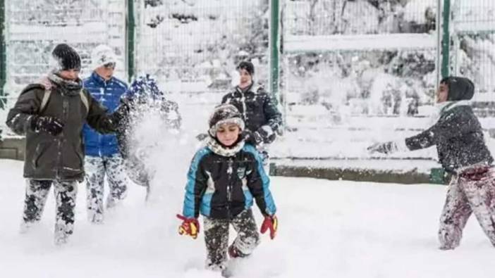 Hakkari'nin iki ilçesinde okullar tatil edildi