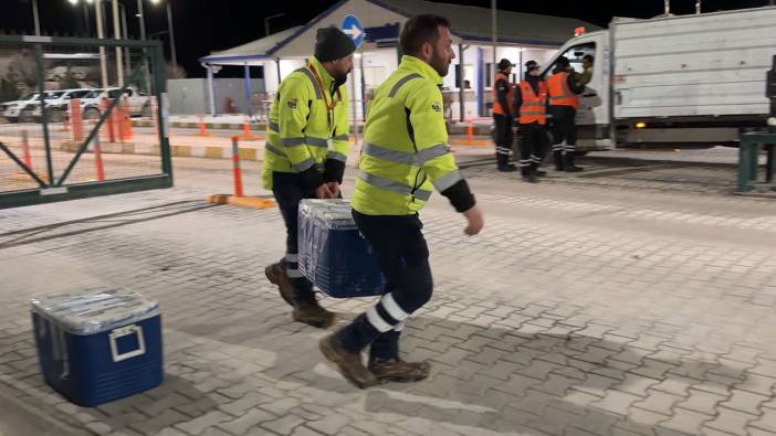 Erzincan'daki madenden alınan numunelerin araştırmaları devam ediyor