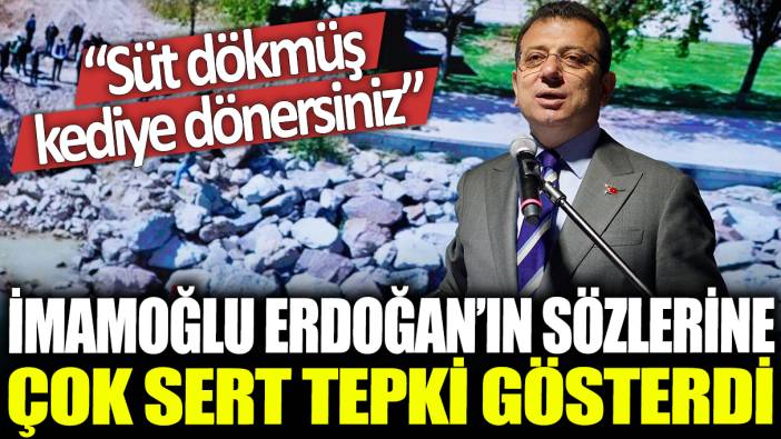 İmamoğlu Erdoğan'ın sözlerine çok sert tepki gösterdi: Süt dökmüş kediye dönersiniz