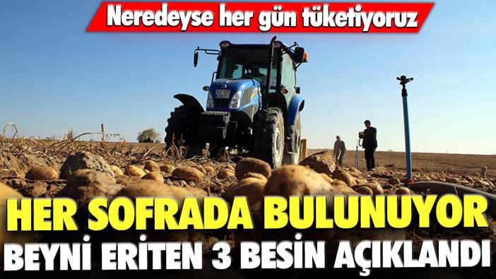 Neredeyse her gün tüketiyoruz: Her sofrada bulunuyor... Beyni eriten 3 besin açıklandı