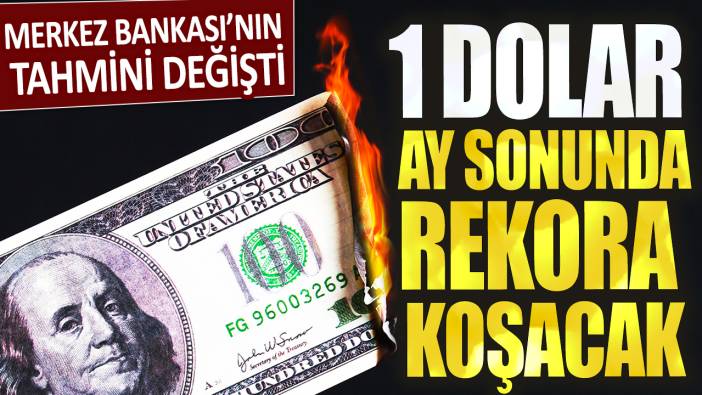 Merkez Bankası’nın tahmini değişti! 1 dolar ay sonunda rekora koşacak