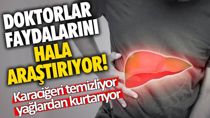 Doktorlar faydalarını hala araştırıyor! Karaciğeri temizliyor, yağlardan kurtarıyor... Sabahları 1 kaşık yeterli