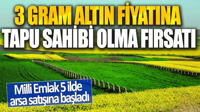 3 gram altın fiyatına tapu sahibi olma fırsatı! Milli Emlak 5 ilde arsa satışına başladı