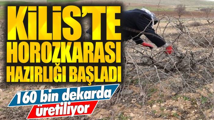 Kilis'te horozkarası hazırlığı başladı: 160 bin dekar...