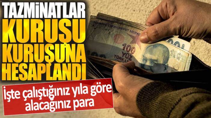 Tazminatlar kuruşu kuruşuna hesaplandı: İşte çalıştığınız yıla göre alacağınız para