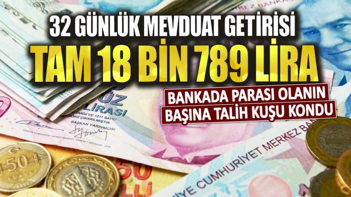 32 günlük mevduat getirisi tam 18 bin 789 lira! Bankada parası olanın başına talih kuşu kondu