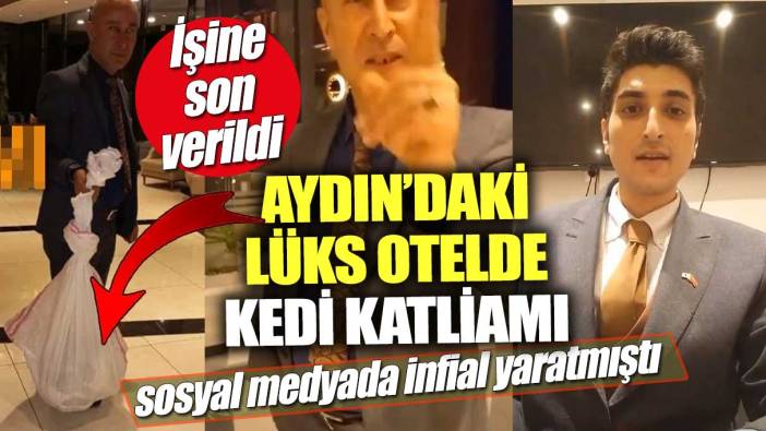 Aydın’daki lüks otelde kedi katliamı!  İnsanlık dışı olay sosyal medyada infial yaratmıştı... İşine son verildi