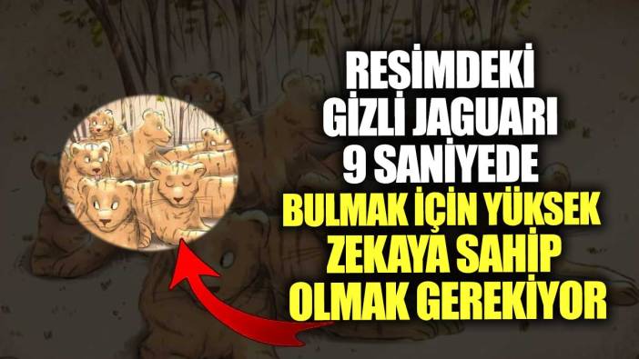 Resimdeki gizli jaguarı 9 saniyede bulmak için yüksek zekaya sahip olmak gerekiyor