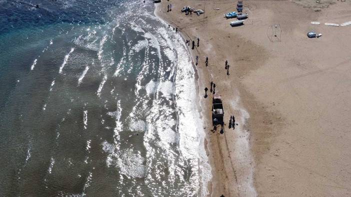 Mersin sahillerinde alarm! Görünce sakın dokunmayın zehirli!