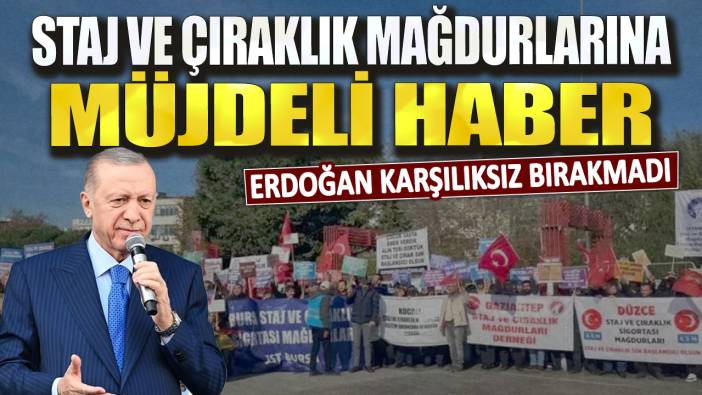 Staj ve çıraklık mağdurlarına müjdeli haber! Erdoğan karşılıksız bırakmadı