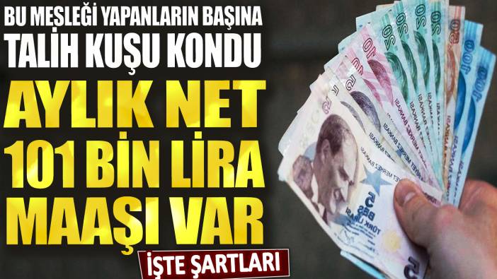 Bu mesleği yapanların başına talih kuşu kondu! Aylık net 101 bin lira maaşı var: İşte şartları