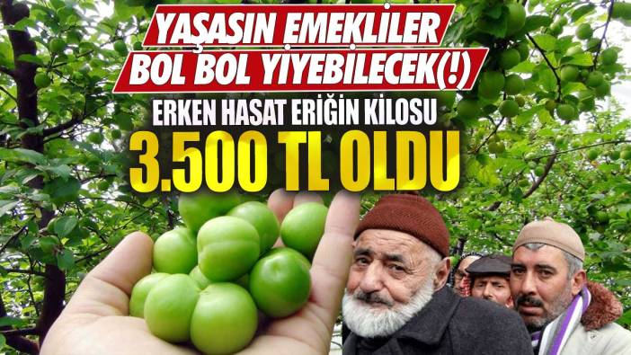 Erken hasat eriğin kilosu 3.500 TL oldu yaşasın emekliler bol bol yiyebilecek