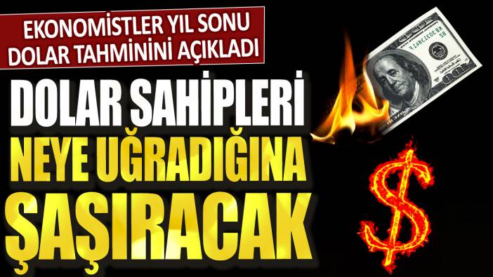 Dolar sahipleri neye uğradığını şaşıracak! Ekonomistler yıl sonu dolar tahminini açıkladı