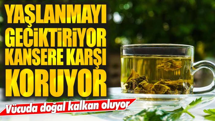 Yaşlanmayı geciktiriyor, kansere karşı koruyor: Vücuda doğal kalkan oluyor