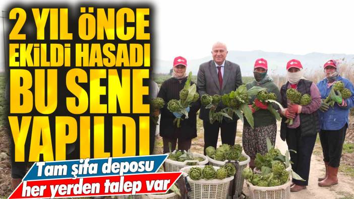 2 yıl önce ekildi hasadı bu sene yapıldı: Tam şifa deposu her yerden talep var