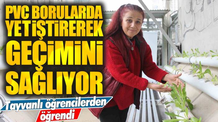 Tayvanlı öğrencilerden öğrendi: PVC borularda yetiştirerek geçimini sağlıyor